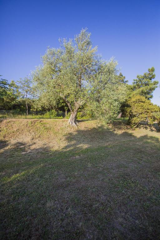 Tenuta Angelici Winery Casa Contea With Pool And Panoramic Pool Cortona Villa Terontola Room photo